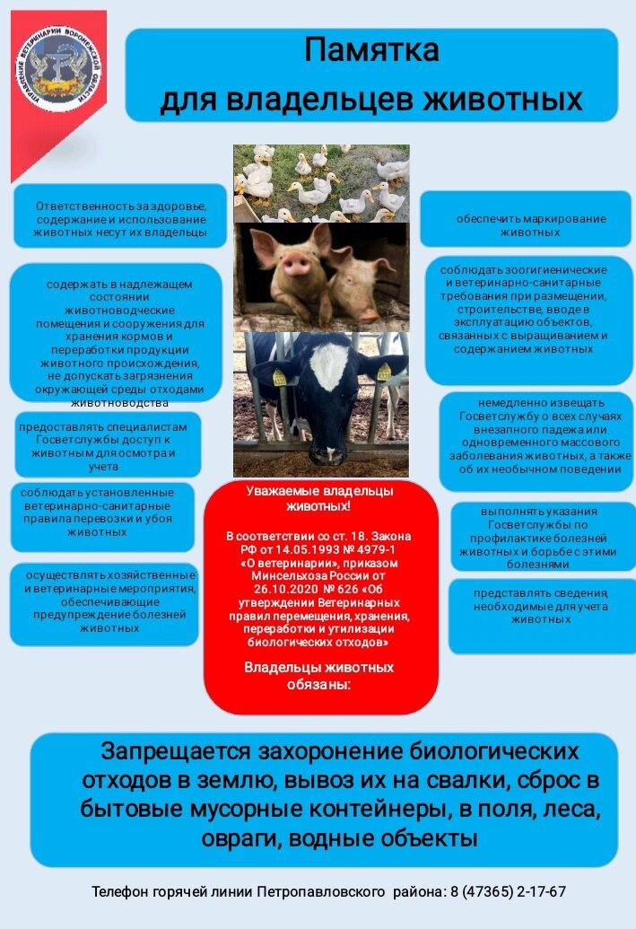 Памятка для владельцев животных.