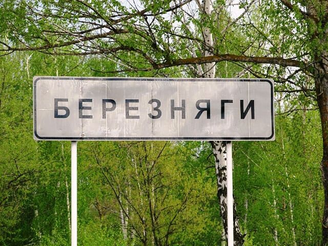 Березняговское сельское поселений Петропавловского муниципального района Воронежской области Березняговское сельское поселений Петропавловского муниципального района Воронежской области.